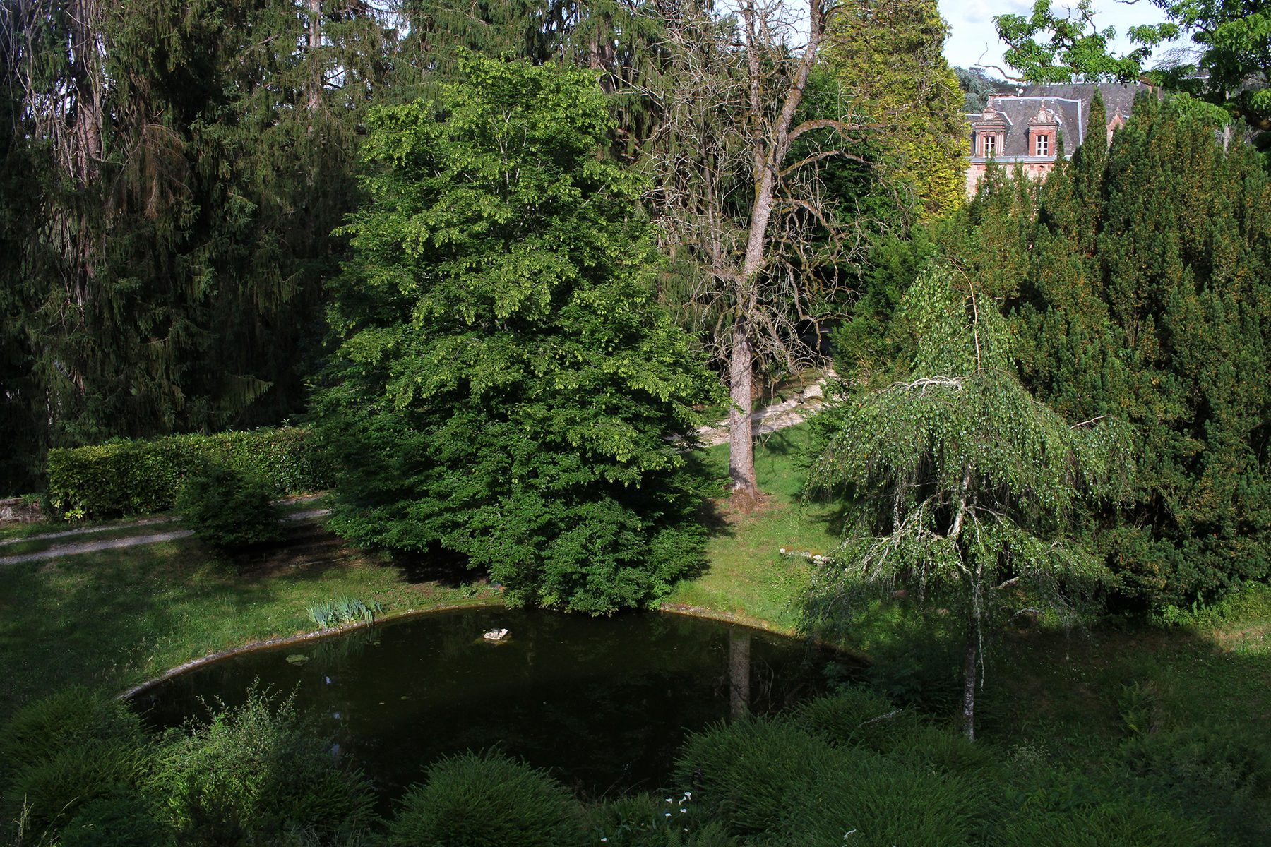 Photo 5 du Gîte N° 1 à Brive-la-Gaillarde